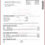 Fake Chase Bank Statement Template Free Resume In Blank Bank Statement Template Download