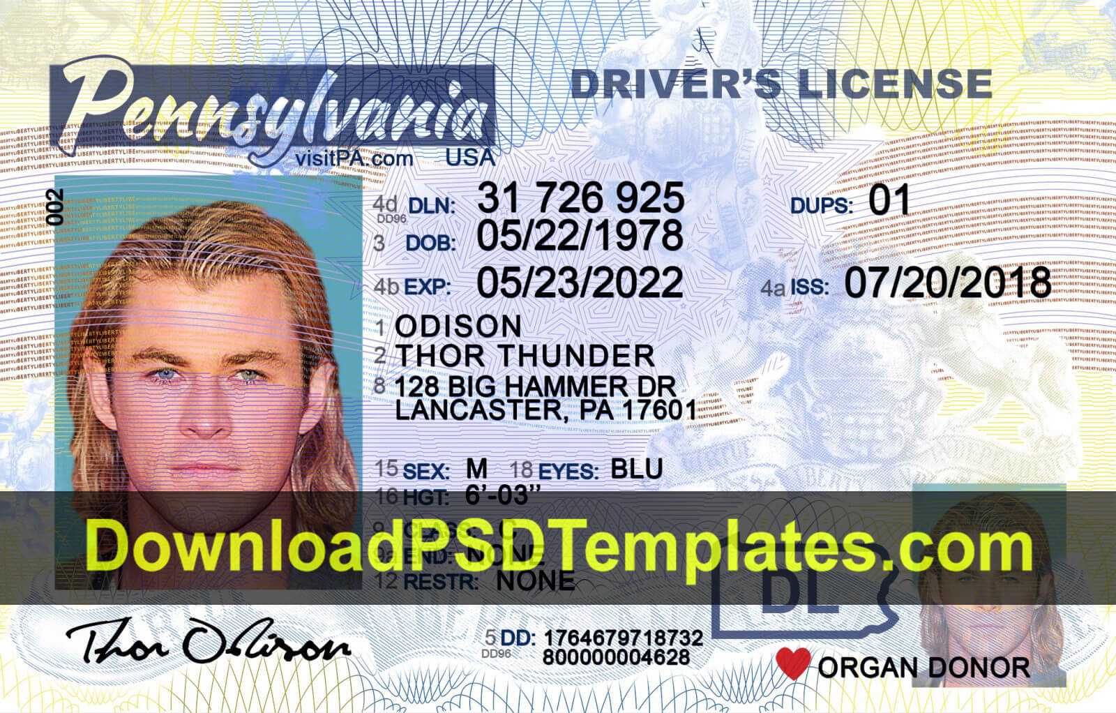 Fake Driving License Templates [Psd Files] For Georgia Id Card Template