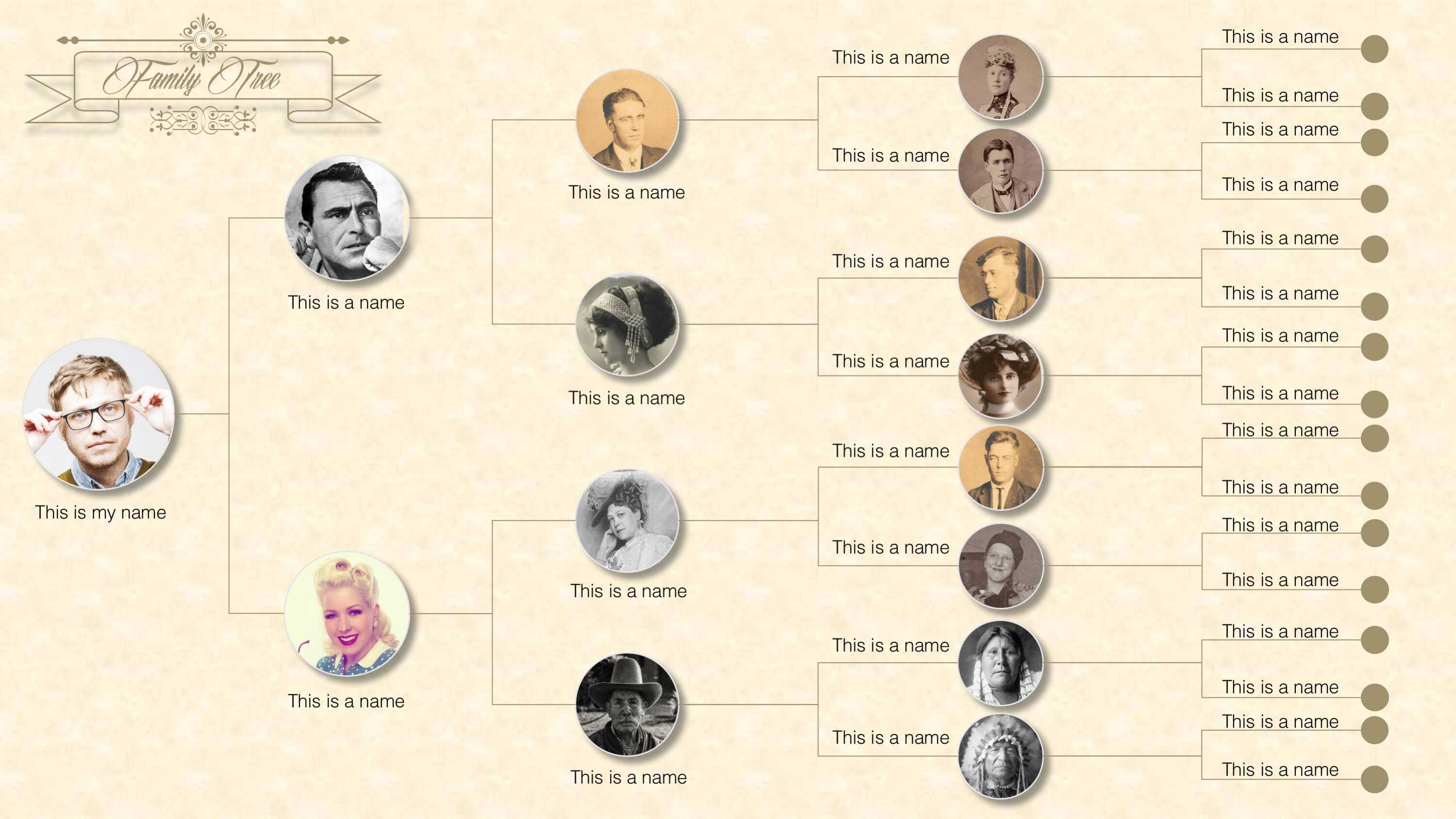 Family Tree Powerpoint Templates Inside Powerpoint Genealogy Template