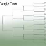 Family Tree Template Resources With Regard To Fill In The Blank Family Tree Template