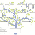 Family Tree Template Word 2007 With 3 Generation Family Tree Template Word