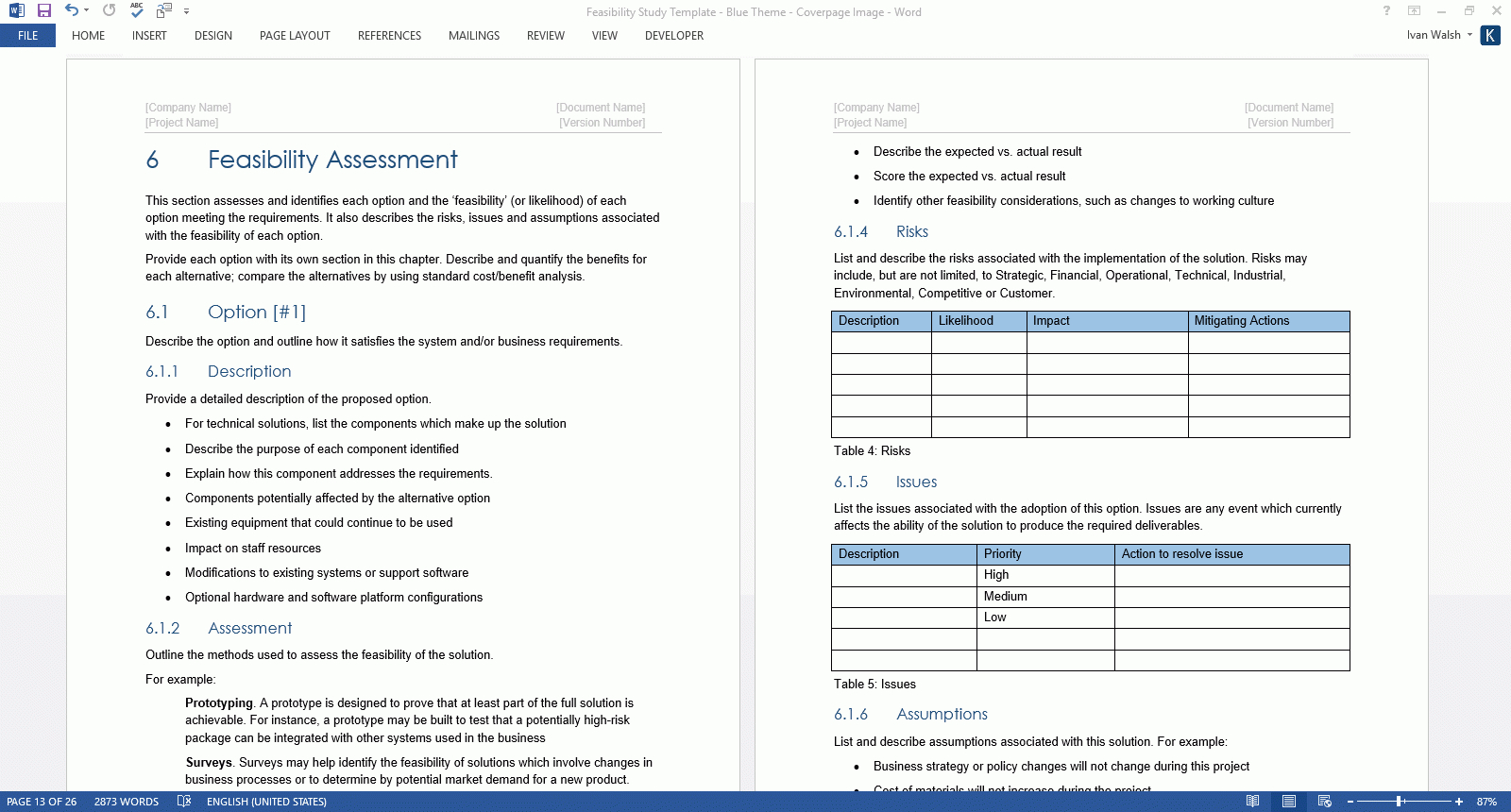 Feasibility Study Templates (Ms Word) – Templates, Forms With Technical Feasibility Report Template