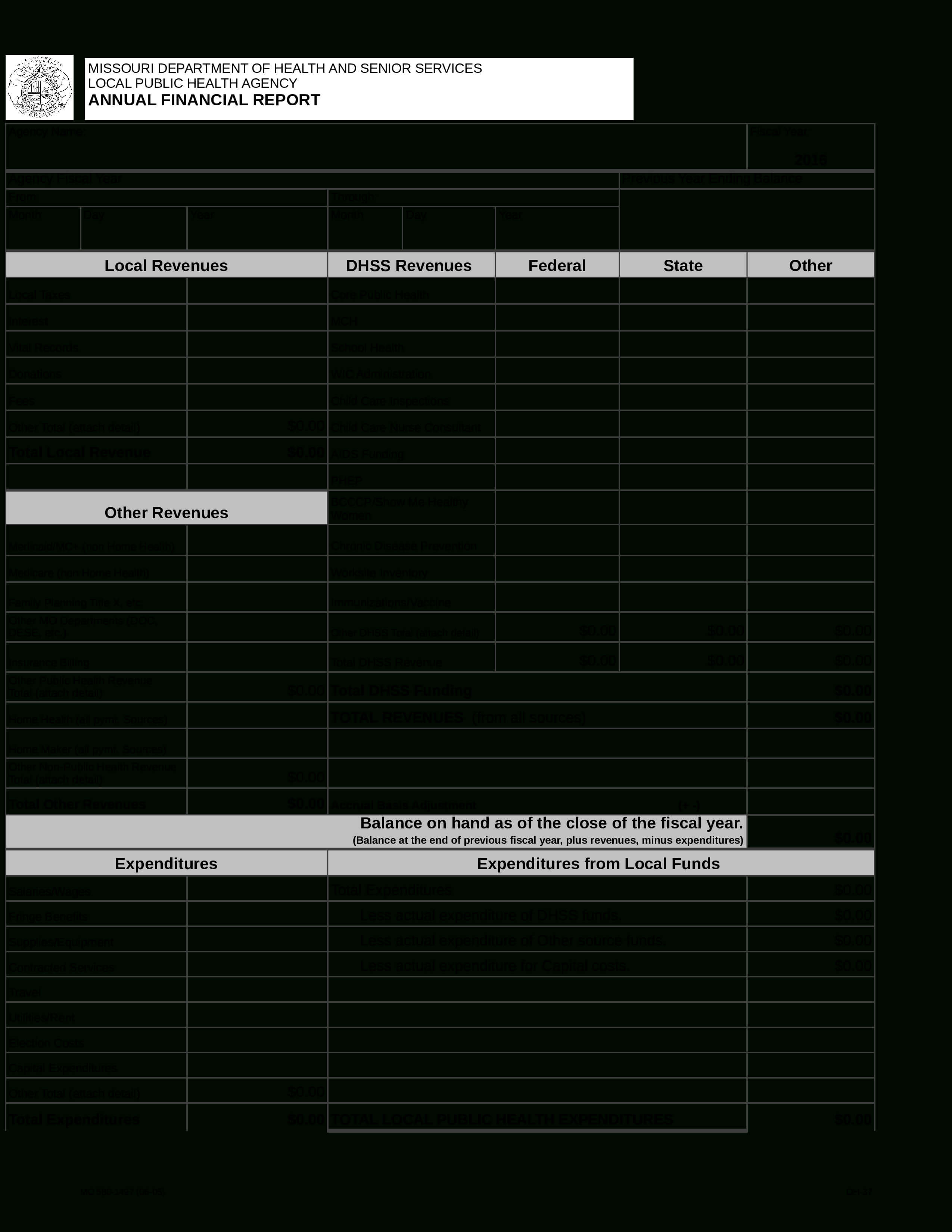 Financial Annual Report | Templates At Allbusinesstemplates Inside Funding Report Template