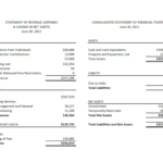 Financial Reports Lift Foundation Statements Sample Report Pertaining To Monthly Financial Report Template