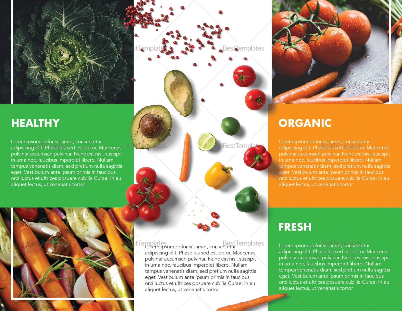 Food Brochure Template Intended For Nutrition Brochure Template