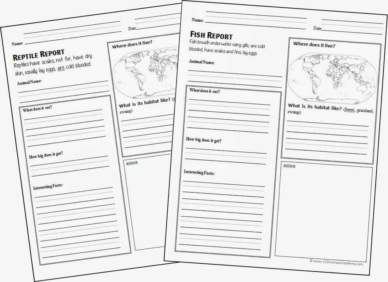 Free Animal Report Form Printable | 123 Homeschool 4 Me Intended For Animal Report Template