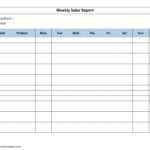 Free Daily Sales Eport Template Excel Call In Activity Inside Daily Sales Report Template Excel Free