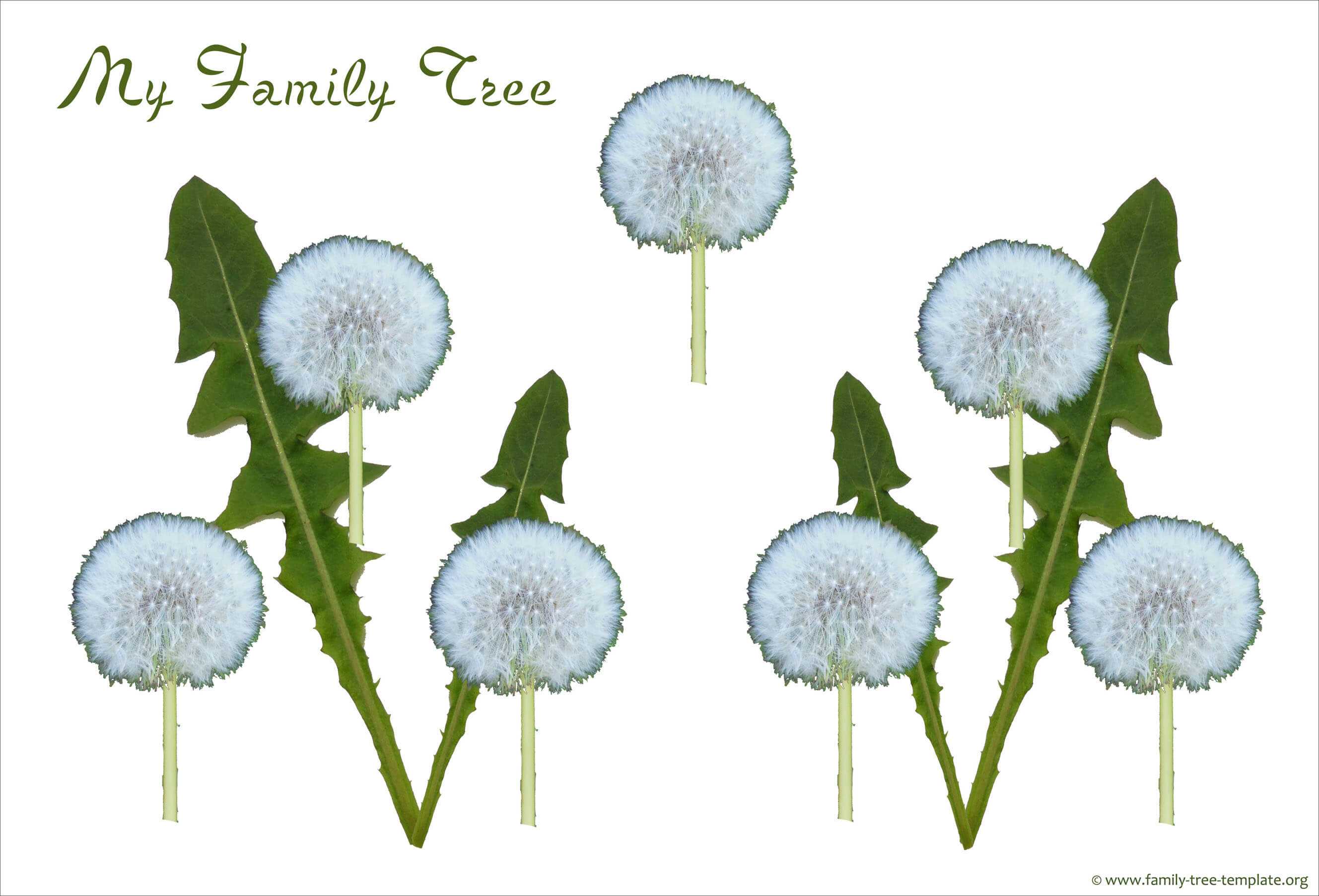 Free Family Tree Template Designs For Making Ancestry Charts For Blank Family Tree Template 3 Generations