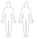 Free Human Body Outline Printable, Download Free Clip Art In Blank Body Map Template