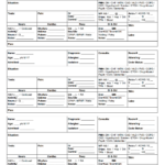 Free Mini Sbar Nursing Report Sheet. Sbar/brain Sheets Help With Sbar Template Word