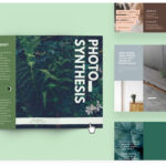 Free Online Brochure Maker: Design A Custom Brochure In Canva for E Brochure Design Templates