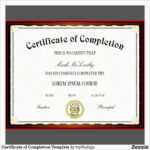 Free Premarital Counseling Certificate Of Completion In Premarital Counseling Certificate Of Completion Template