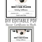 Free Printable Soccer Certificate Templates Editable Pdf Inside Soccer Certificate Template Free