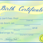 Free Printable Stuffed Animal Birth Certificates – Blueberry Intended For Toy Adoption Certificate Template