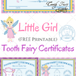 Free Printable Tooth Fairy Certificates | 1St Grade | Tooth For Tooth Fairy Certificate Template Free