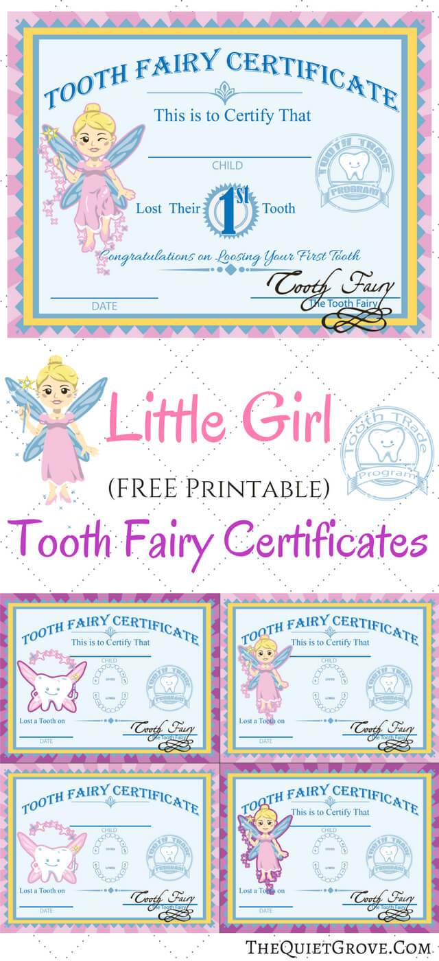 Free Printable Tooth Fairy Certificates | 1St Grade | Tooth For Tooth Fairy Certificate Template Free