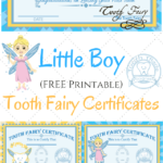 Free Printable Tooth Fairy Certificates | Parenting | Tooth With Regard To Tooth Fairy Certificate Template Free