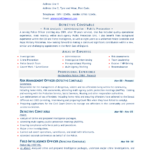 Free Resume Templates For Word 15 Cvresume Formats To With Regard To Resume Templates Word 2010