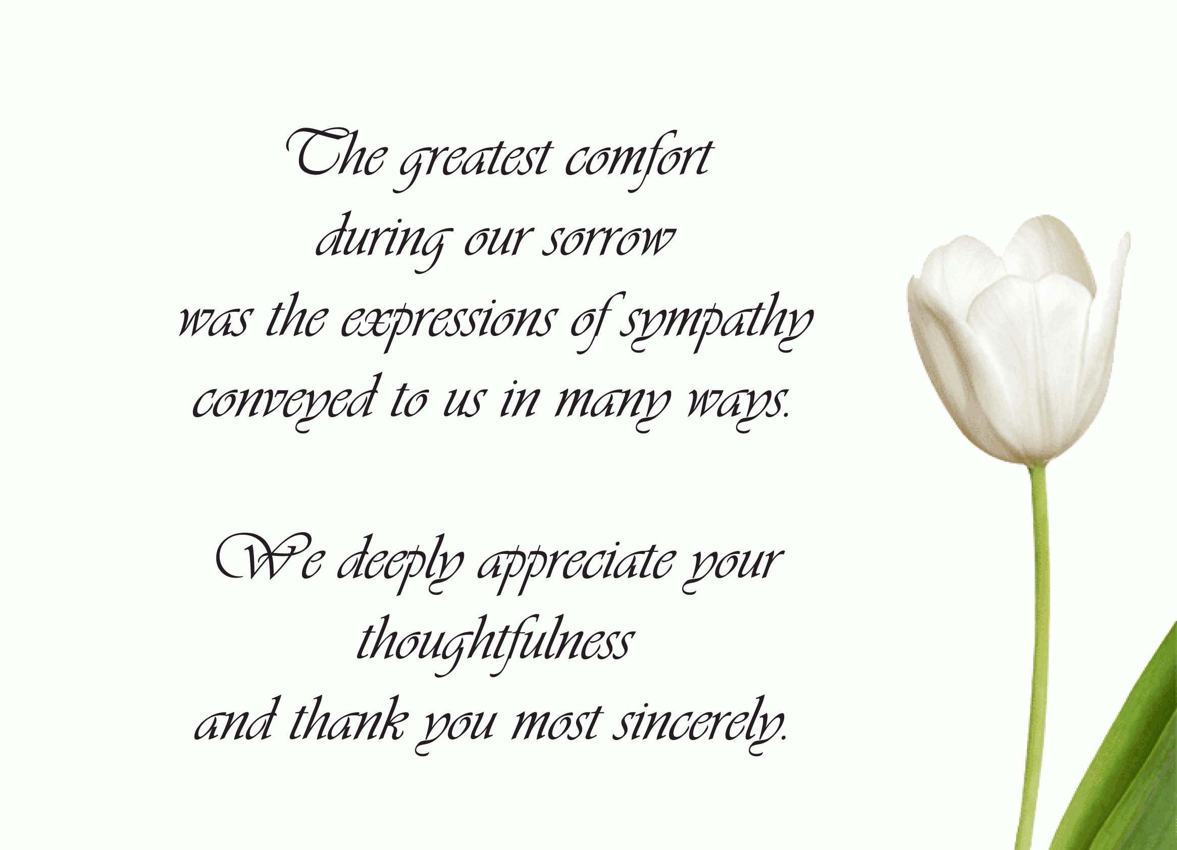 Funeral Thank You Card Ideas - Google Search | Sympathy Card pertaining to Sympathy Thank You Card Template