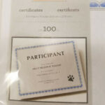 Gartner Studios Certificate 100 Count Blue Gray Border 8.5 X 11 Template For Gartner Certificate Templates