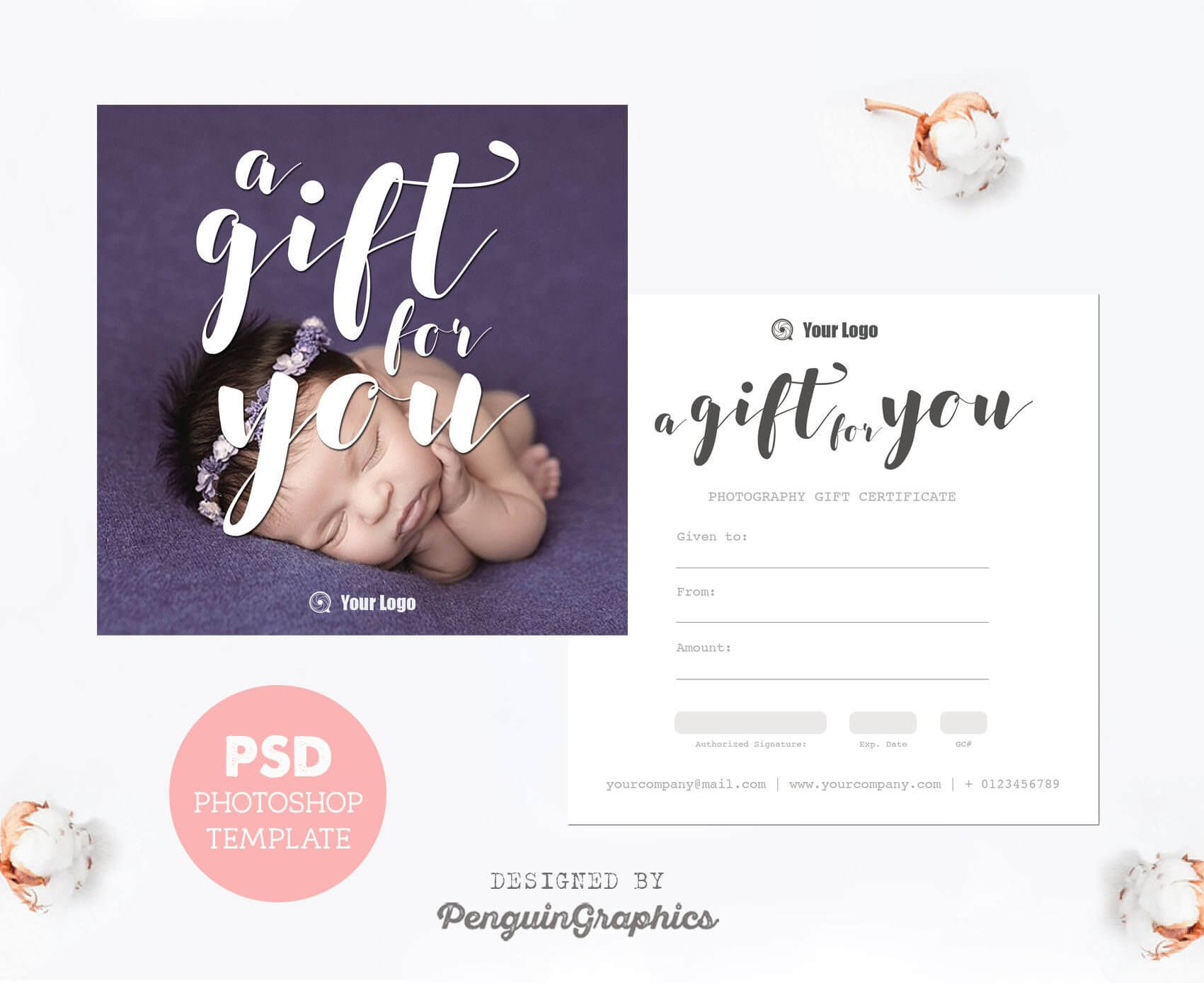Gift Certificate Template. Photography Mini Session Gift Intended For Photoshoot Gift Certificate Template