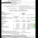 Grant Report Template Expense Progress Samples Nih Final In Acquittal Report Template