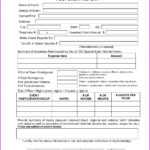 Grant Report Template – Wovensheet.co Throughout Coroner's Report Template