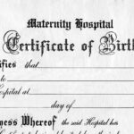 Great For Teddy Bear And Baby Doll Birth Certificates Free In Baby Doll Birth Certificate Template