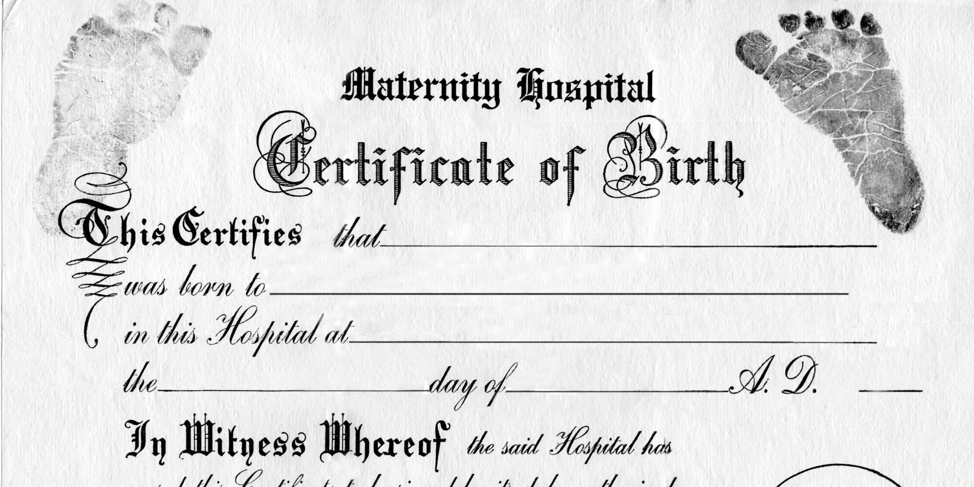 Great For Teddy Bear And Baby Doll Birth Certificates Free In Baby Doll Birth Certificate Template