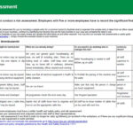 Health And Safety Implications / Risk Assessment Report Inside Health Check Report Template