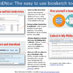 Home – Nih Biosketch – Beckerguides At Becker Medical Library With Regard To Nih Biosketch Template Word