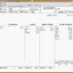 Hourly Wage Then Log Download Pay Stub Template Word Free Regarding Free Pay Stub Template Word