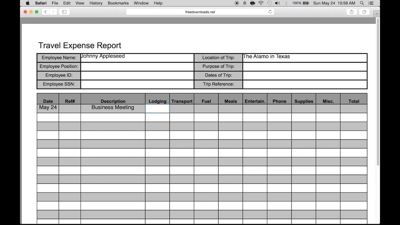 How To Fill In A Free Travel Expense Report | Pdf | Excel In Expense Report Template Excel 2010