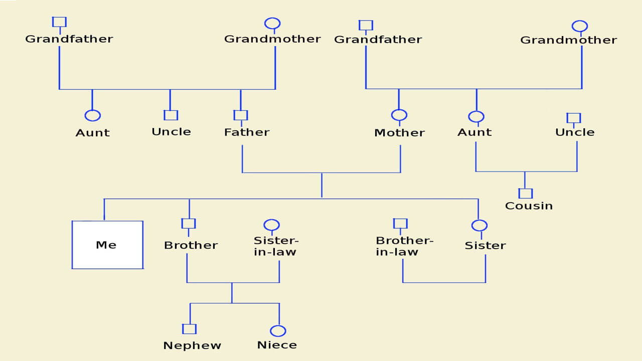How To Make A Genogram Using Microsoft Word Within Genogram Template For Word