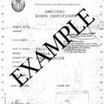 How To Travel With Children Into And Out Of South Africa Inside South African Birth Certificate Template