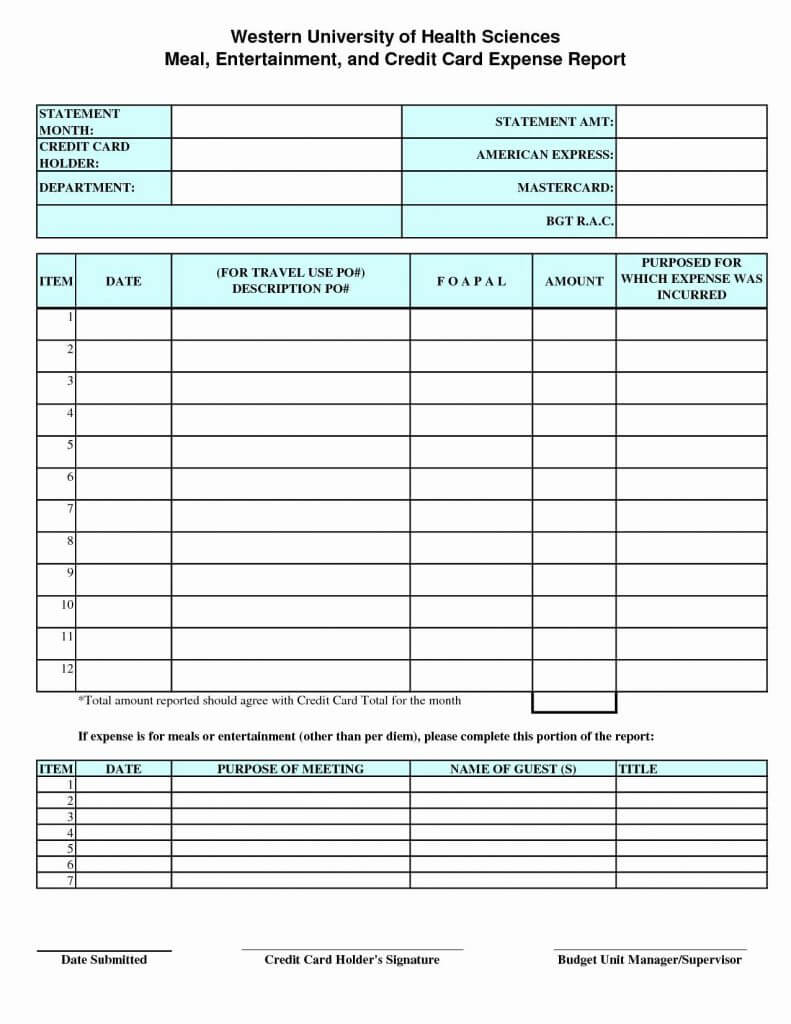 Ic Monthlyincomeandexpense Per Diem Expense Report Template Intended For Per Diem Expense Report Template
