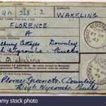 Identification Card Stock Photos & Identification Card Stock For World War 2 Identity Card Template