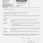 Illinois Annual Report Form Llc Accurate But Llc 14 within Llc Annual Report Template