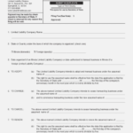 Illinois Annual Report Form Llc Sample Corporate Request Pertaining To Llc Annual Report Template