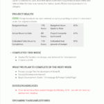 Keep Your Project On Track With Status Reports | Project For Development Status Report Template