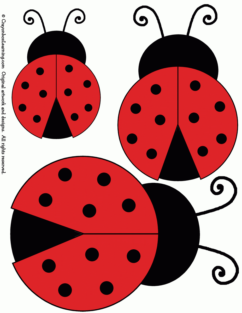 Ladybird Templates In Three Sizes – Sure To Find A Use For Regarding Blank Ladybug Template