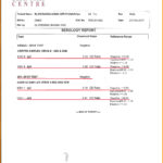 Medical Report Sample – Bushveld Lab With Medical Report Template Doc