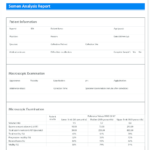 Modifi Ed Semen Analysis Report Template. The Main Inside Stock Analysis Report Template