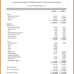 Non Profit Financial Statement Emplate Excel Sql Print In Non Profit Monthly Financial Report Template
