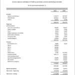 Non Profit Financial Statements Example | Meetpaulryan In Non Profit Monthly Financial Report Template