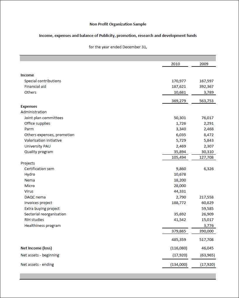 Non Profit Financial Statements Example | Meetpaulryan In Non Profit Monthly Financial Report Template