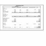 Non Profit Ial Statements Example Monthly Report Template Regarding Non Profit Monthly Financial Report Template