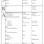 Nursing Report Sheet Template Together With Sbar Nurse Within Med Surg Report Sheet Templates