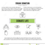 Organ Donation Template Stock Vector. Illustration Of Intended For Organ Donor Card Template