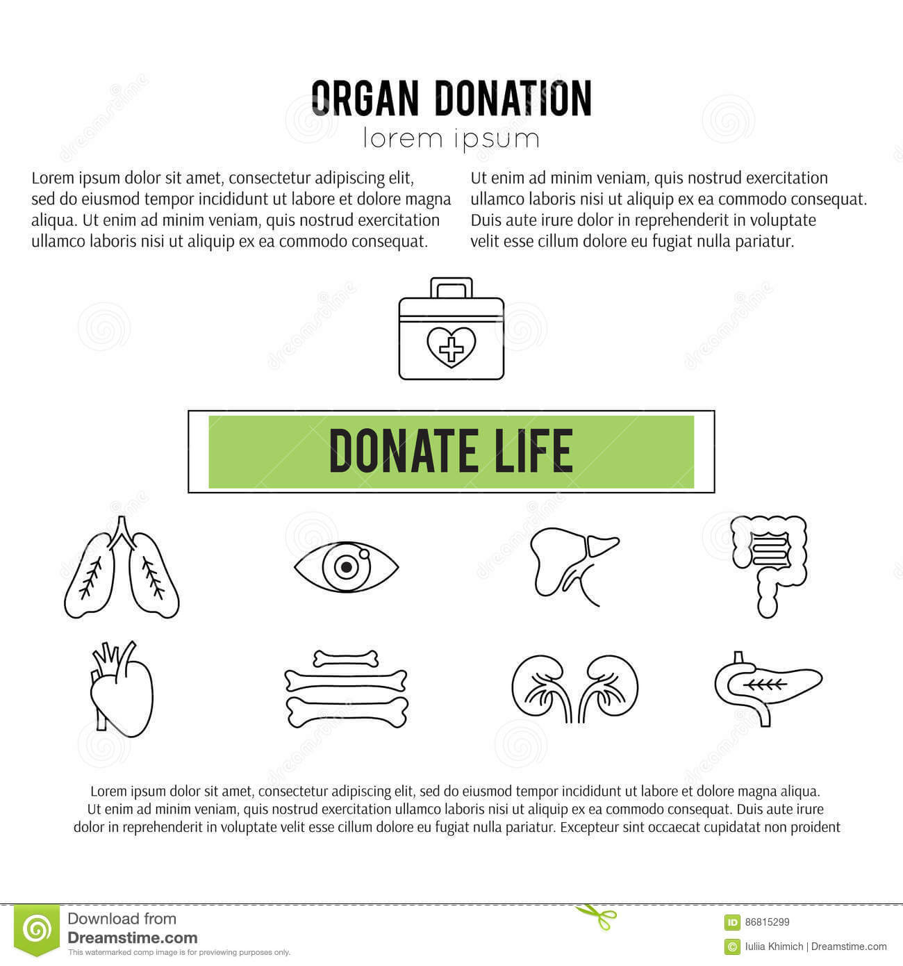 Organ Donation Template Stock Vector. Illustration Of Intended For Organ Donor Card Template
